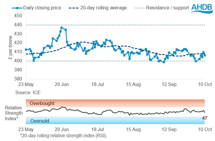 OSR futures graph 13 10 2025.jpg